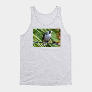 Noisy Miner Australian Bird Tank Top